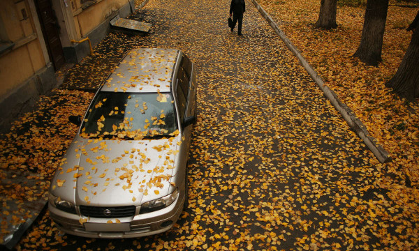 Новые правила, новые штрафы: что ждет автомобилистов Германии осенью